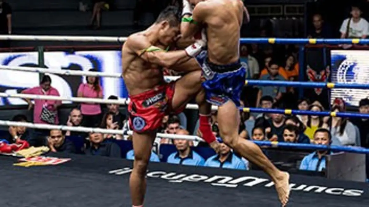Phoenix 5 Kick-boxing Phoenix Fighting Championship 2018