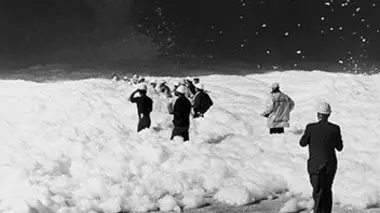 Les appropriationnistes