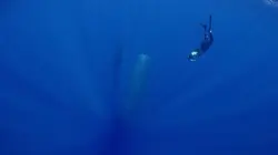 Photographes Paul Nicklen et Cristina Mittermeier : Quitte ou double