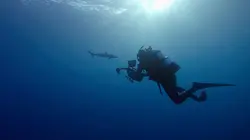 Sur National Geographic à 22h50 : Photographes