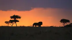 Photographes de l'impossible