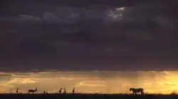 Photographes de l'impossible