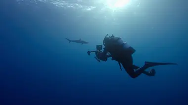 Photographes Paul Nicklen et Cristina Mittermeier : Quitte ou double