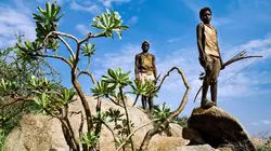 Photographes voyageurs