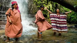 Photographes voyageurs