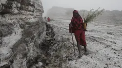 Photographes voyageurs