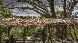 Photographes voyageurs