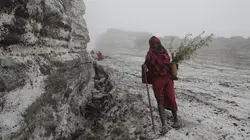 Photographes voyageurs