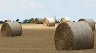 Disparition des terres agricoles : enquête sur un business qui rapporte