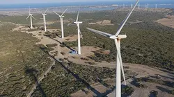 Pièces à conviction A qui profitent les éoliennes ?