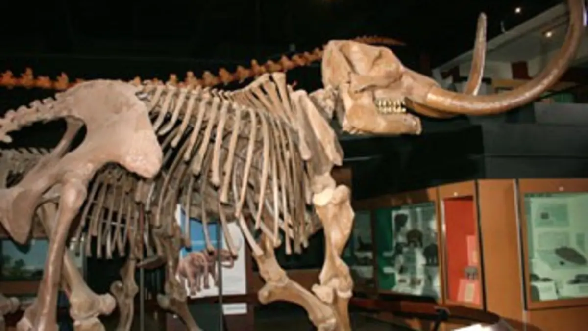 Piège mortel pour les mastodontes