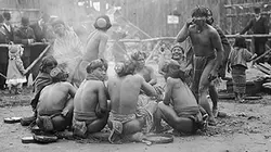 Visuel de Piégés dans un zoo humain