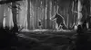 Pierre et le loup