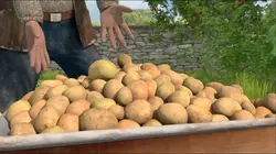 Pierre Lapin S02E04 Le grand pillage des patates