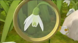 Pierre Lapin S02E23 La première jacinthe