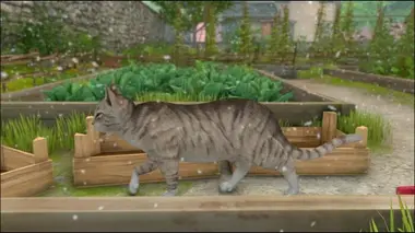 Pierre Lapin S01E04 Le chat fâché