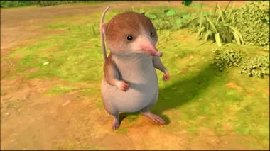 Pierre Lapin S01E15 La nouvelle amie de queue-de-coton