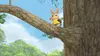 Pierre Lapin S02E05 Queue-de-Coton en haut d'un arbre
