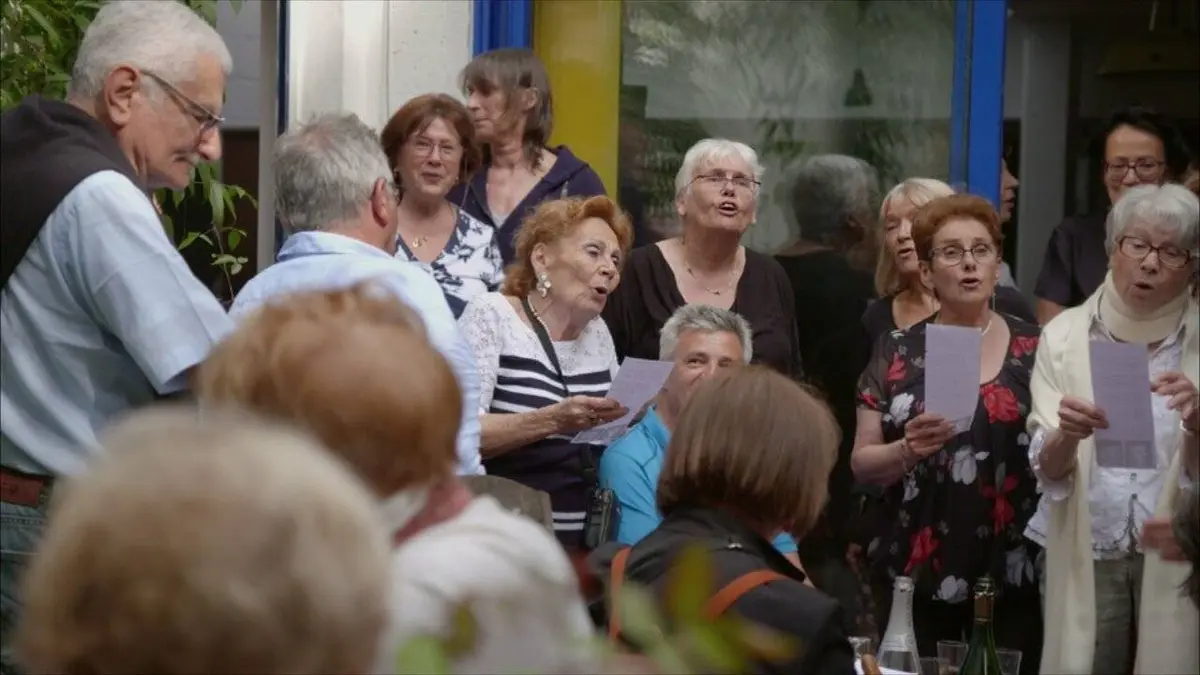 Pingouin & Goéland et leurs 500 petits