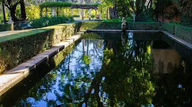 Rénovation de lagon spectaculaire dans le sud