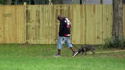 Pitbulls et prisonniers Le survivant