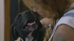 Pitbulls et prisonniers Nouveaux arrivants