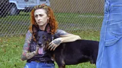 Pitbulls et prisonniers