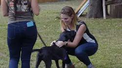 Pitbulls et prisonniers  Renaître de ses cendres