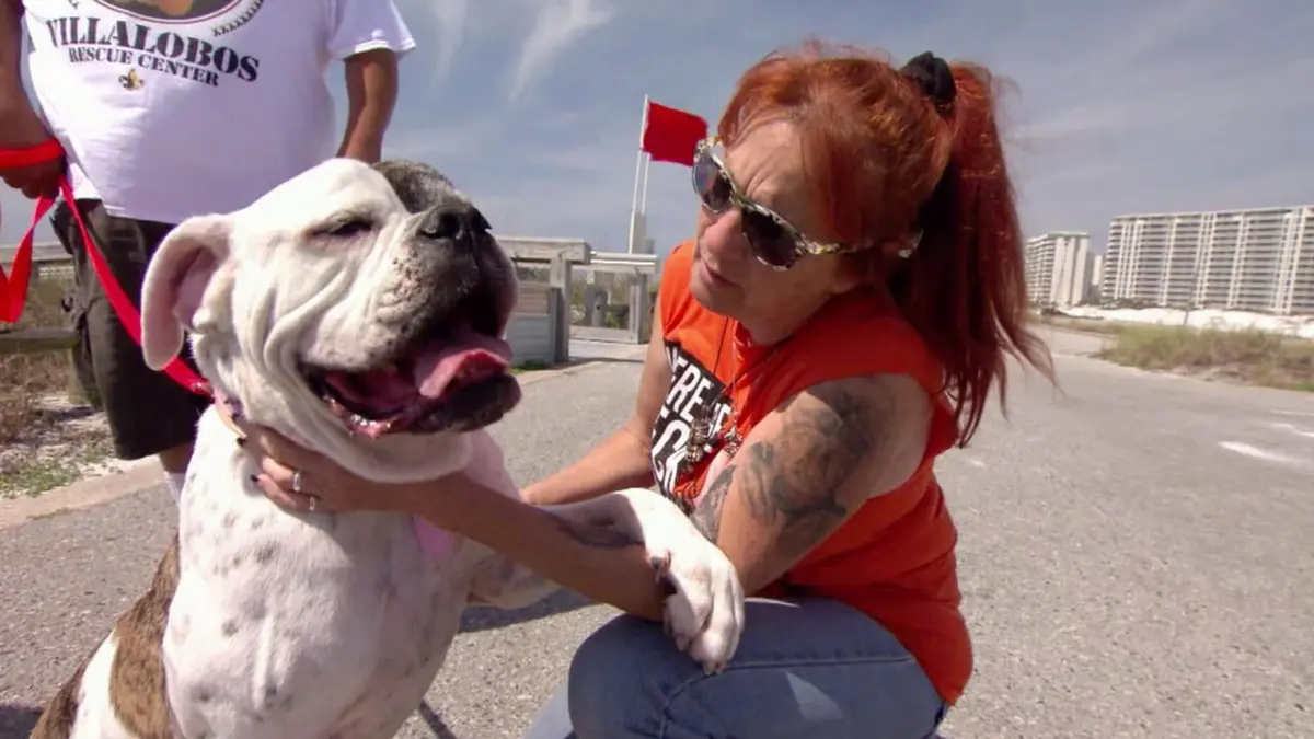 Pitbulls et prisonniers Les chiens qui ont volé notre cœur