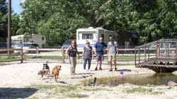 Pitbulls et prisonniers Chien pompier