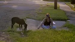 Pitbulls et prisonniers Joyeux Halloween