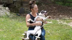 Pitbulls et prisonniers  Sauvé de la mort