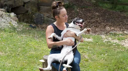 Pitbulls et prisonniers Sauvé de la mort