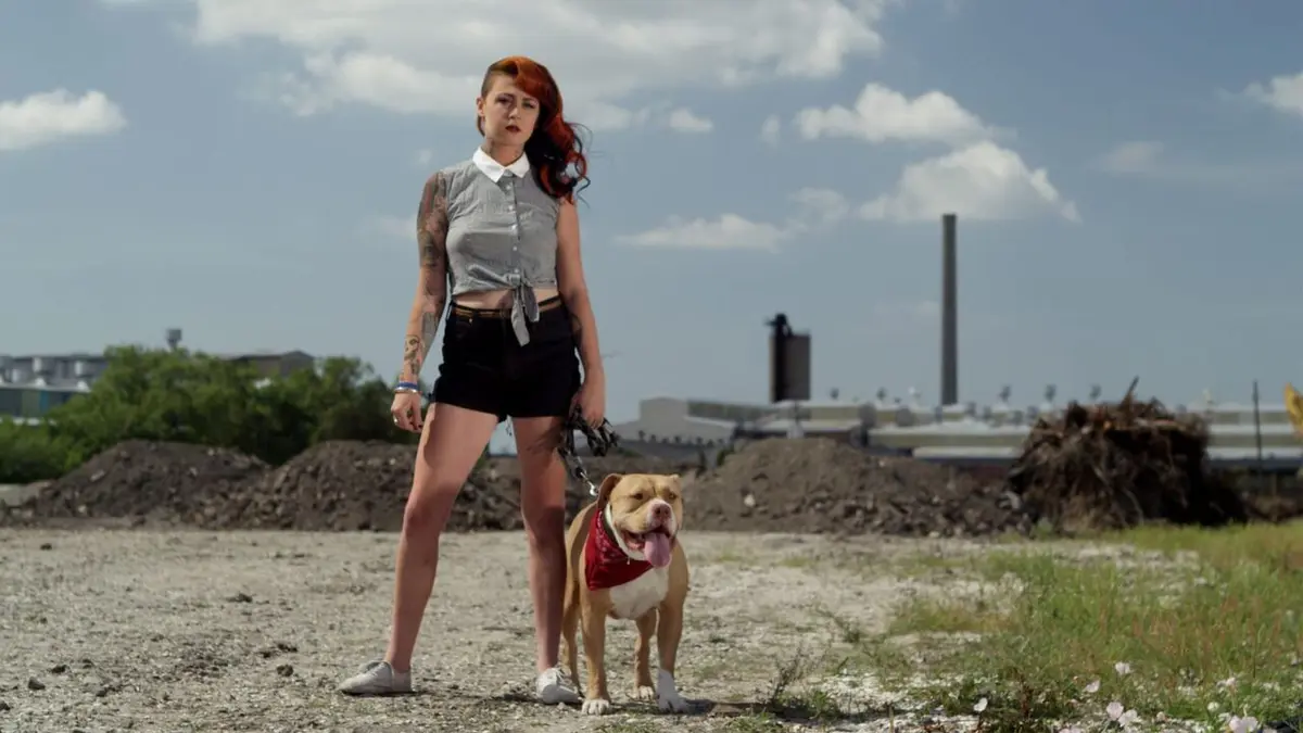 Pitbulls et prisonniers Sauvetage de la dernière chance