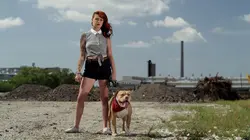 Visuel de Pitbulls et prisonniers