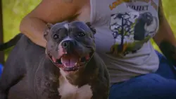 Pitbulls et prisonniers Ennemi invisible