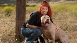 Pitbulls et prisonniers