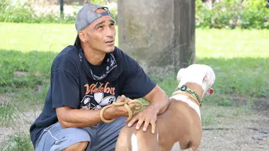 Les amis et la bête