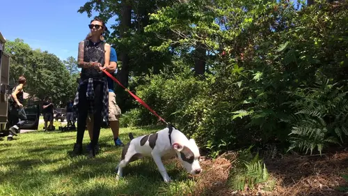 Pitbulls et prisonniers Des chiens contre la haine