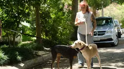 Pitbulls et prisonniers Speed Dating