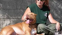 Pitbulls et prisonniers S07E10 Courte sur pattes