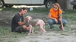 Pitbulls et prisonniers S07E15 Il était temps