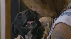 Pitbulls et prisonniers Nouveaux arrivants