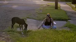 Pitbulls et prisonniers Joyeux Halloween