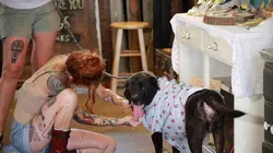 Pitbulls et prisonniers Tout pour Emma