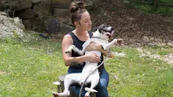 Pitbulls et prisonniers  Sauvé de la mort