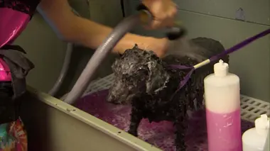 Une première fois pour tout