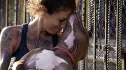 Pitbulls et prisonniers Trouver un héros
