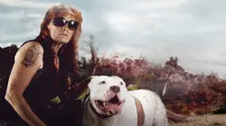 Pitbulls et prisonniers