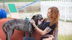 Pitbulls et prisonniers